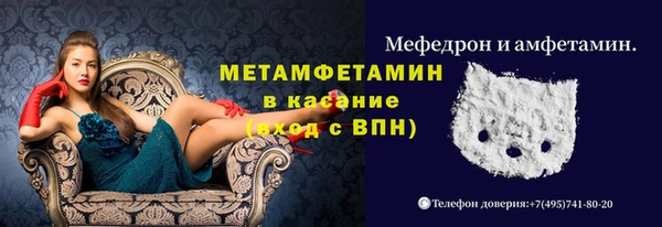 PSILOCYBIN Алзамай