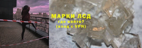 PSILOCYBIN Алзамай