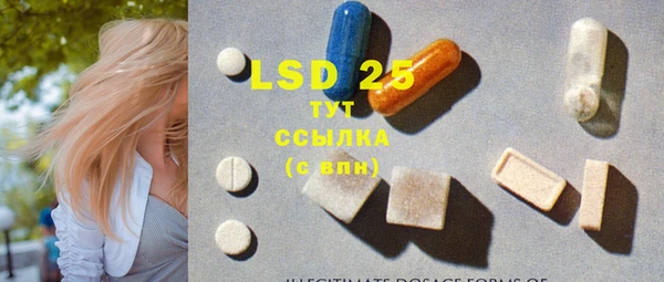 PSILOCYBIN Алзамай